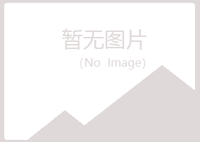 山阳县匆匆造纸有限公司